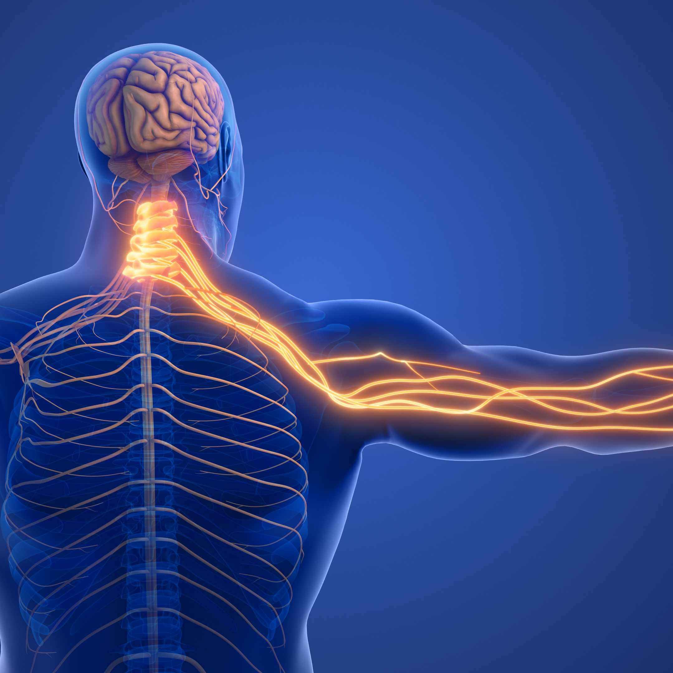 This week in health news and neurological health! episode artwork