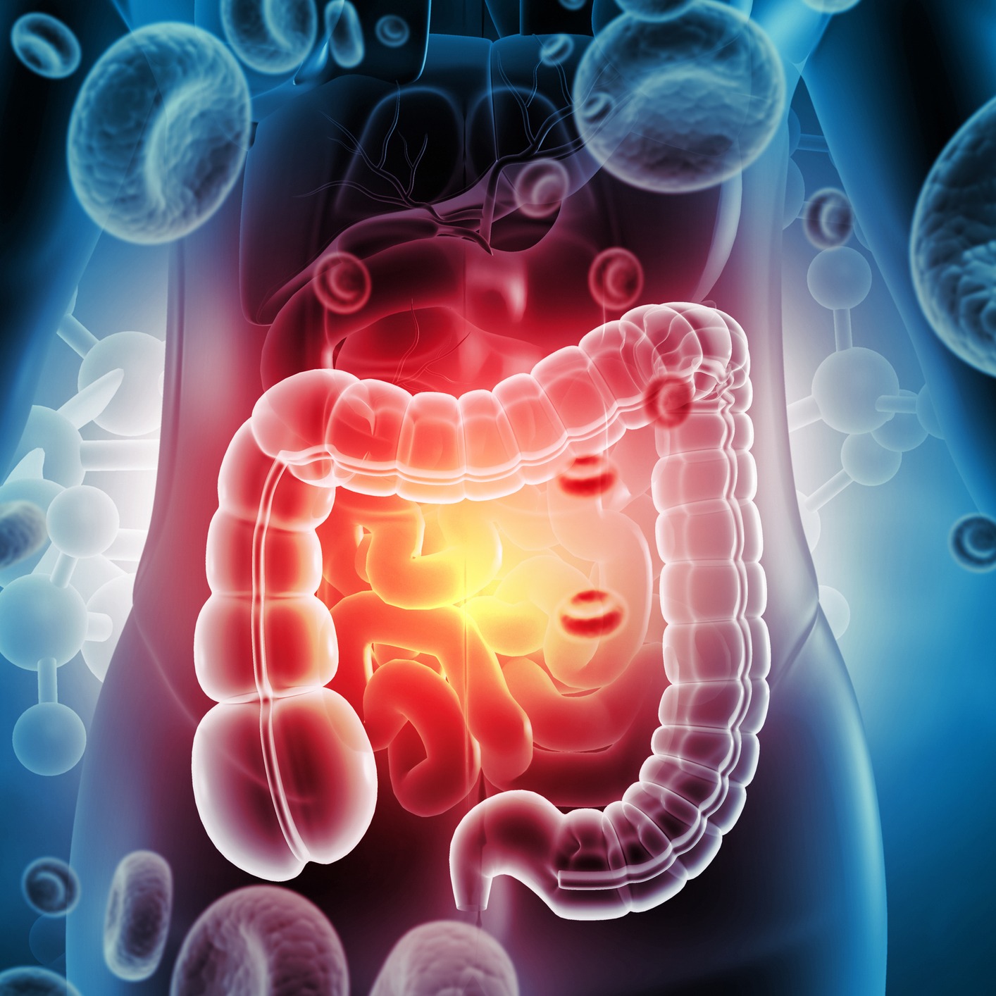 Weight Loss with Livea and Dr. Hubbard on Colorectal Cancer! episode artwork