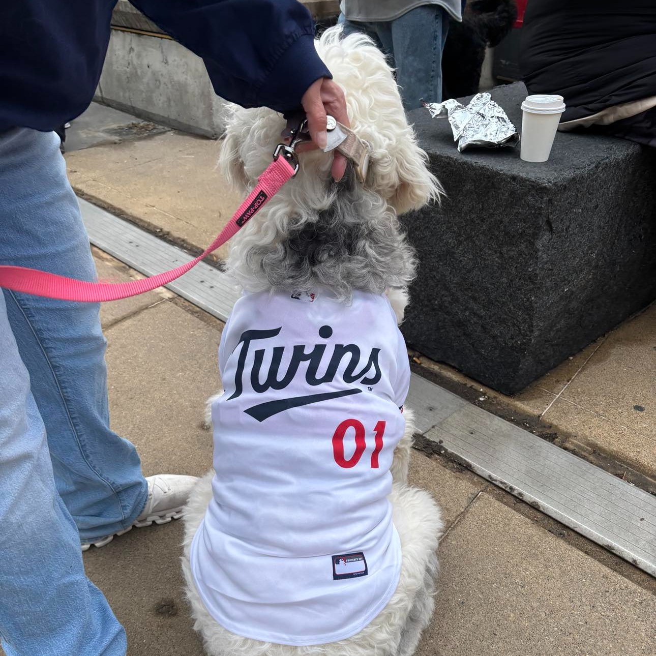 Who should stay and who should go for the Twins at the MLB trading deadline?