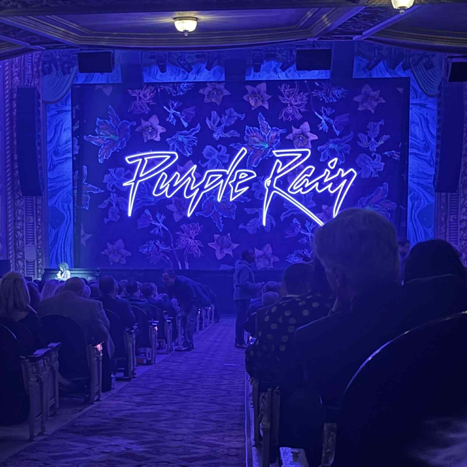 Both Jordana Green and Vineeta Sawkar saw Purple Rain The Musical.....reviews are???? Both Jordana Green and Vineeta Sawkar saw Purple Rain The Musical.....reviews are????