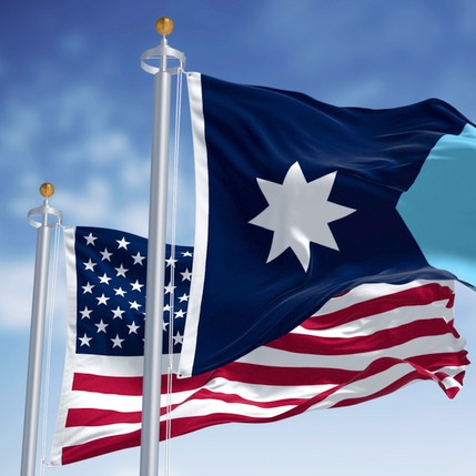 Did the Updated State Flag get "Shoved Down People's Throats" or not? episode artwork