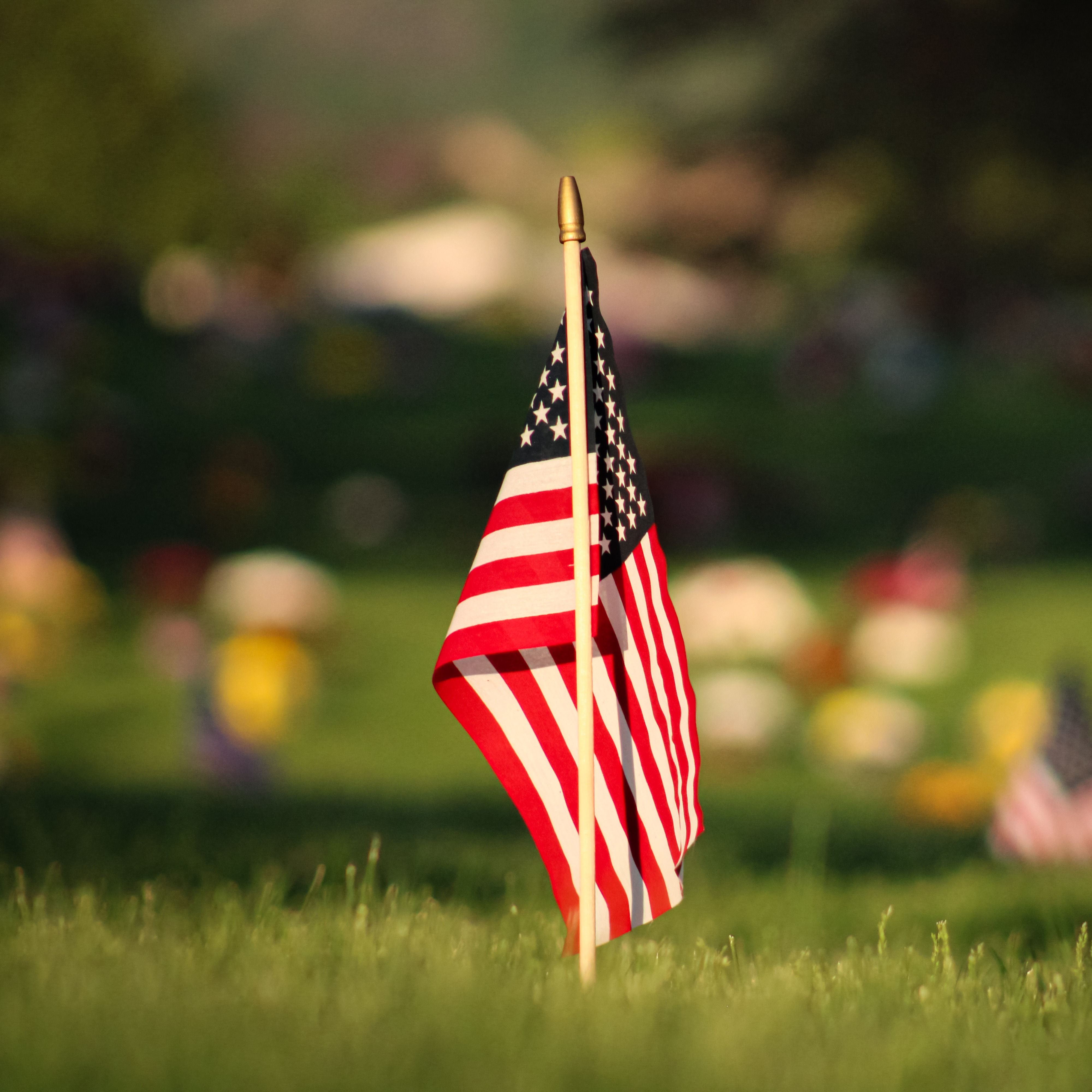The Patriotic Kenny Foundation episode artwork