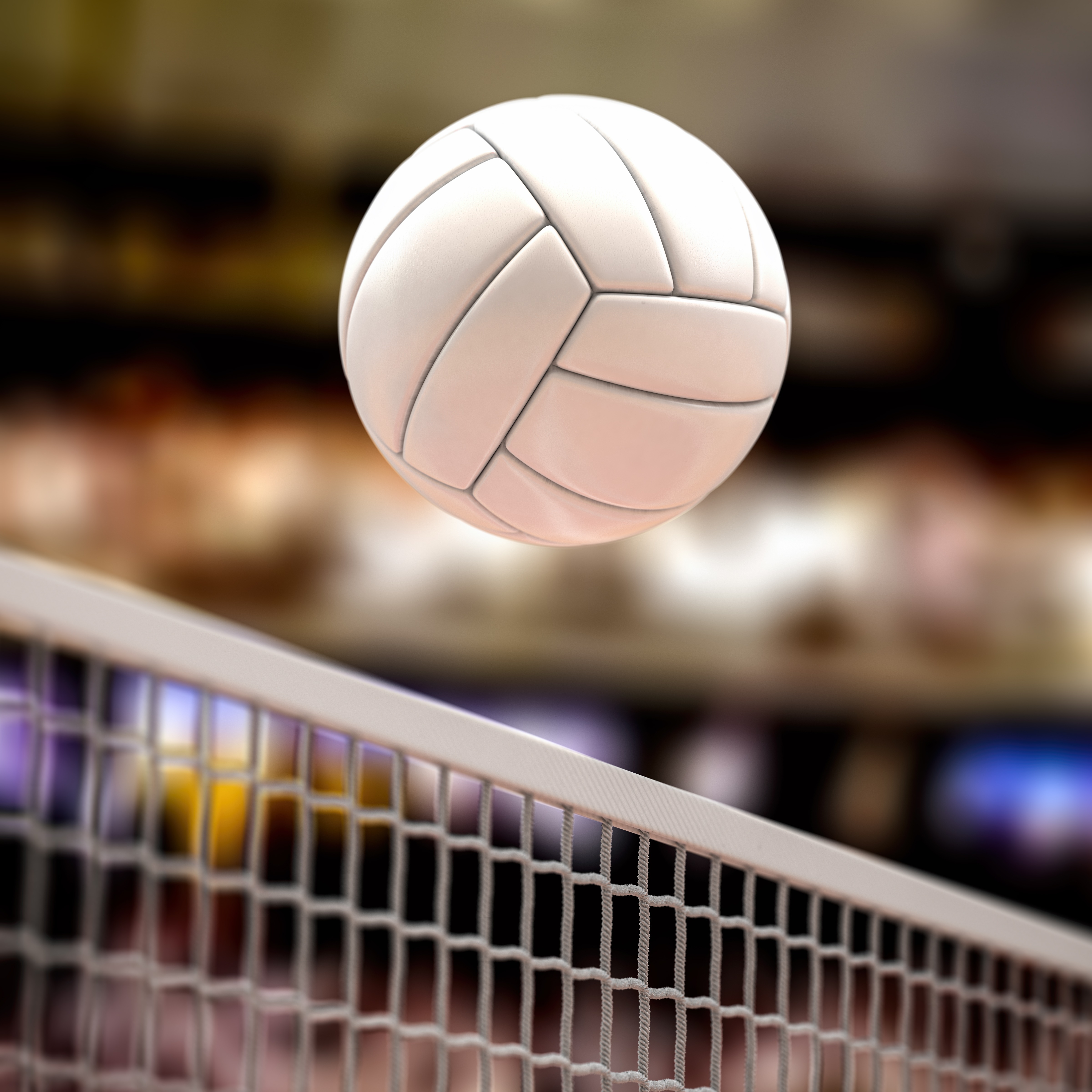Professional Volleyball Comes to Minnesota episode artwork