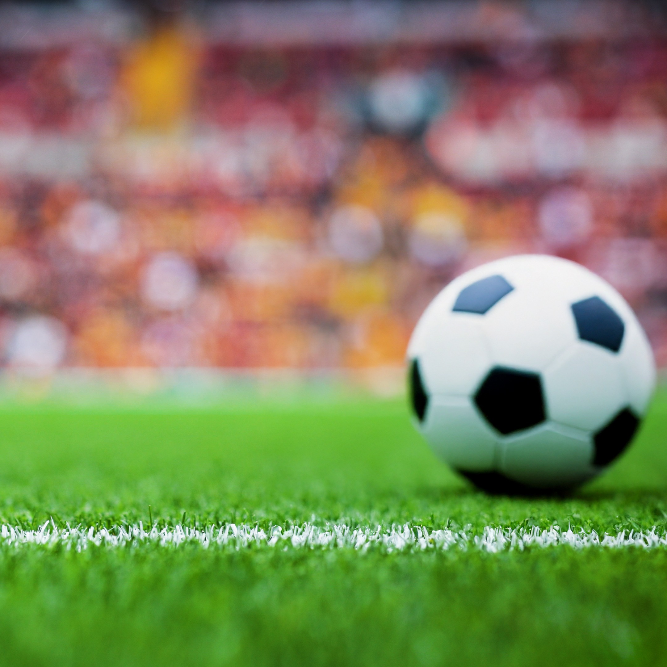 Andrea Yoch on the season ending heartbreak for the Aurora! episode artwork