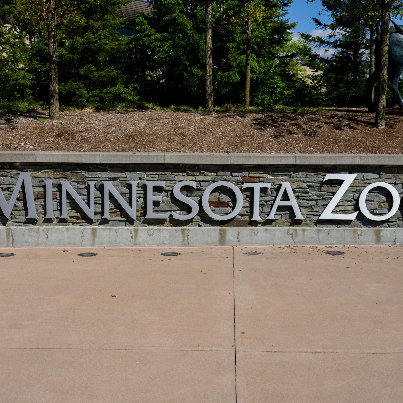 Diana Hein previews the Wanderlight Trail at the Minnesota Zoo! episode artwork