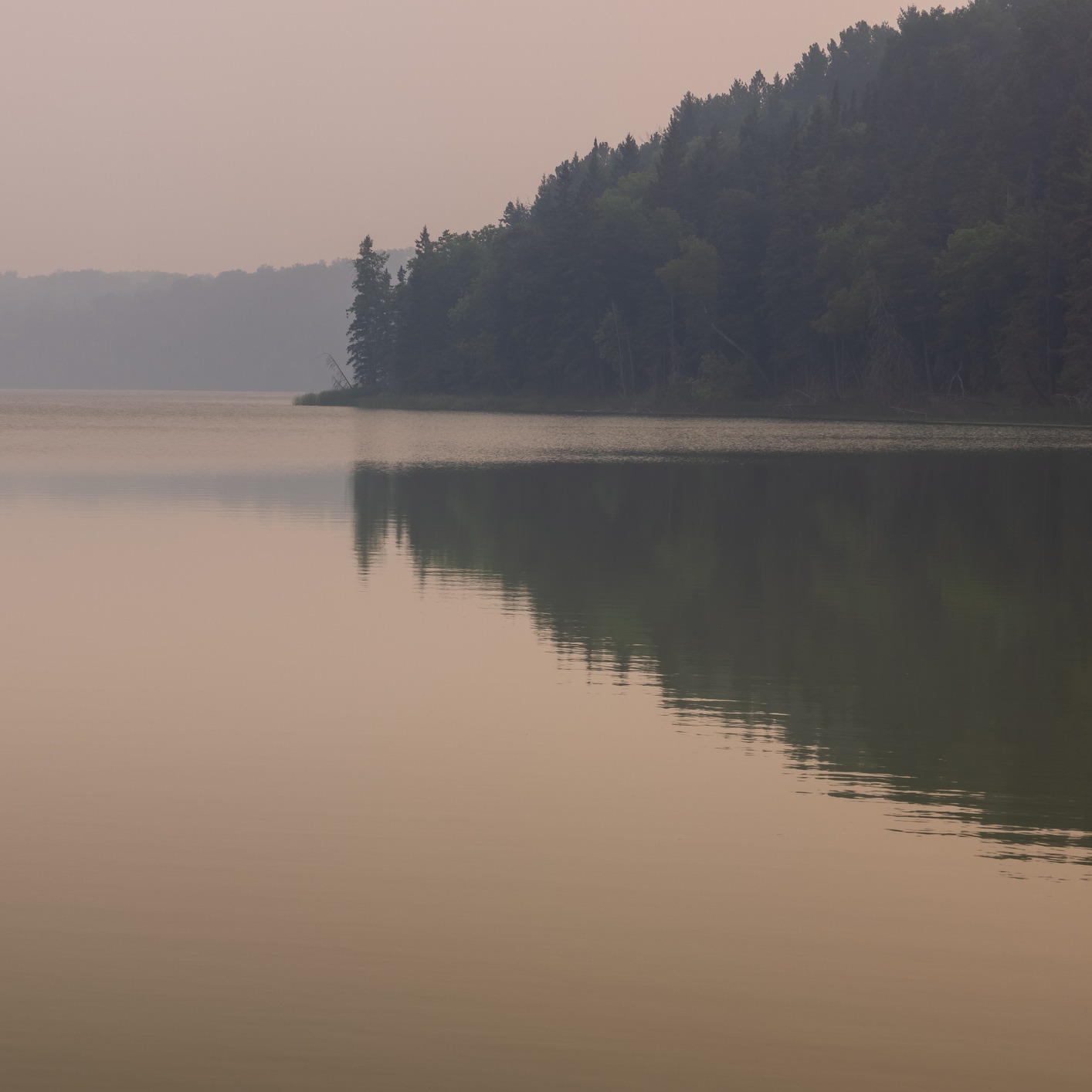 Would you take a "DAY TRIP" to the BWCA? episode artwork