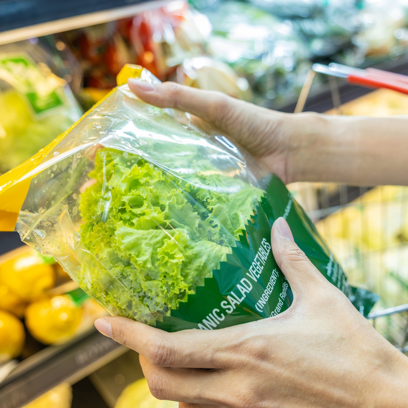 How wary should you be about eating lettuce right now? episode artwork