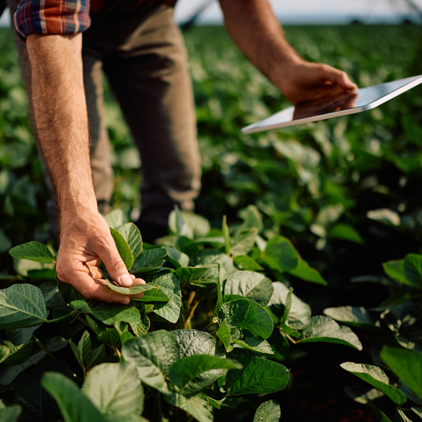 Are farmers using AI right now? episode artwork