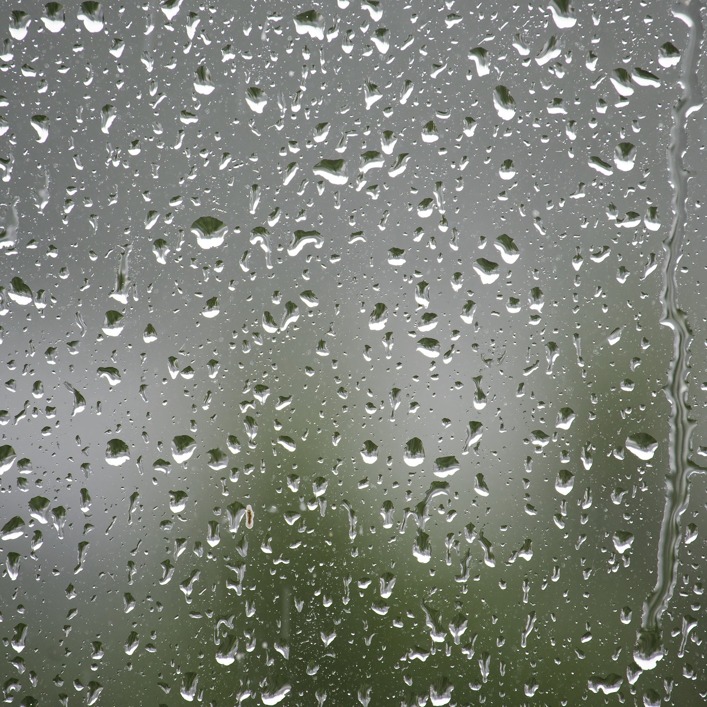 Chris Shaffer previews a weekend that could be wet! episode artwork
