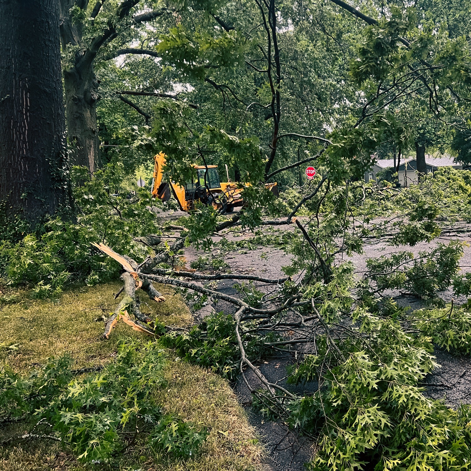 Steps to Take After Storm Damage, Attic Inspection Process, Growing Demand for Outdoor Space Projects episode artwork