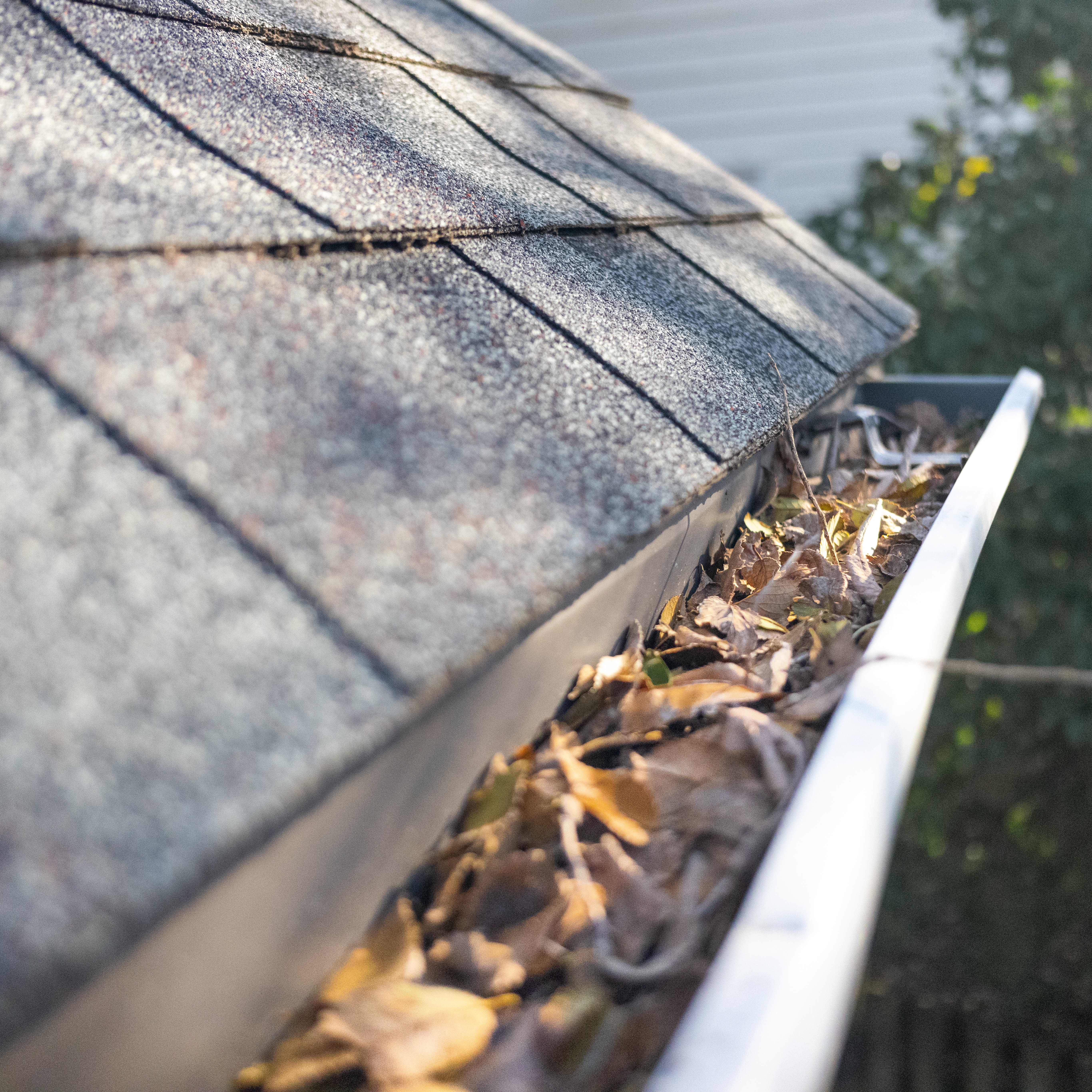 Problems With Some Gutter Guards, Water Heater Help, How Weather Changes a Roof episode artwork