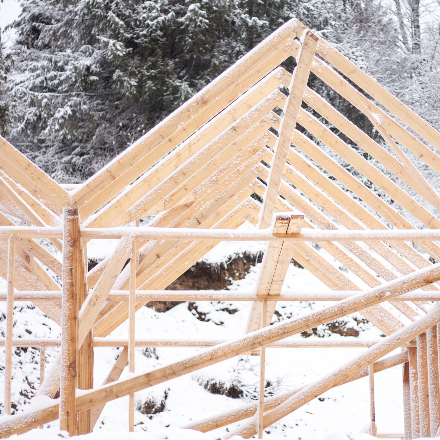 Protecting your roof, keeping your home covered literally and figuratively! episode artwork