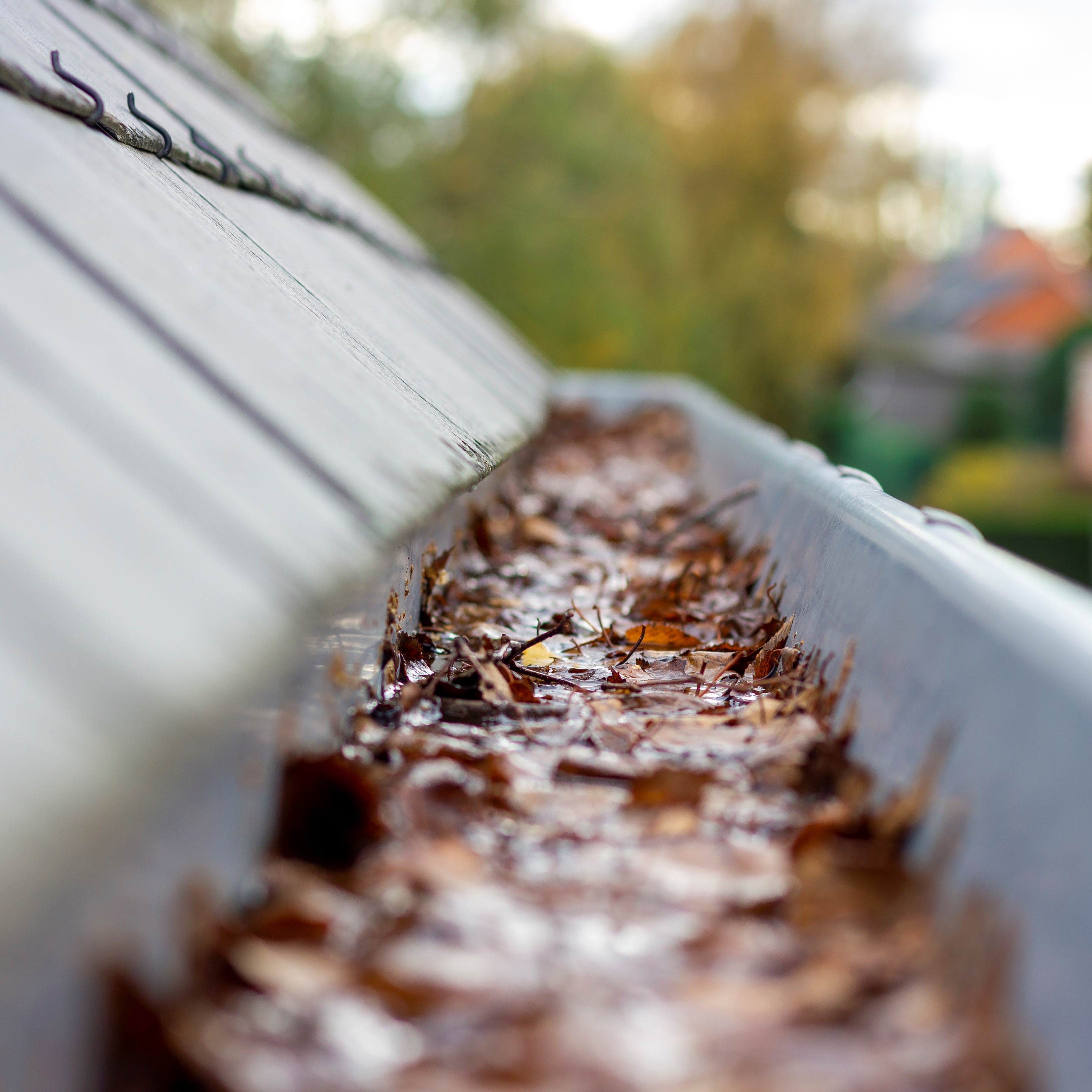 Issues With Screen Gutter Guards, When to Add a Downspout, Cracked Countertops episode artwork