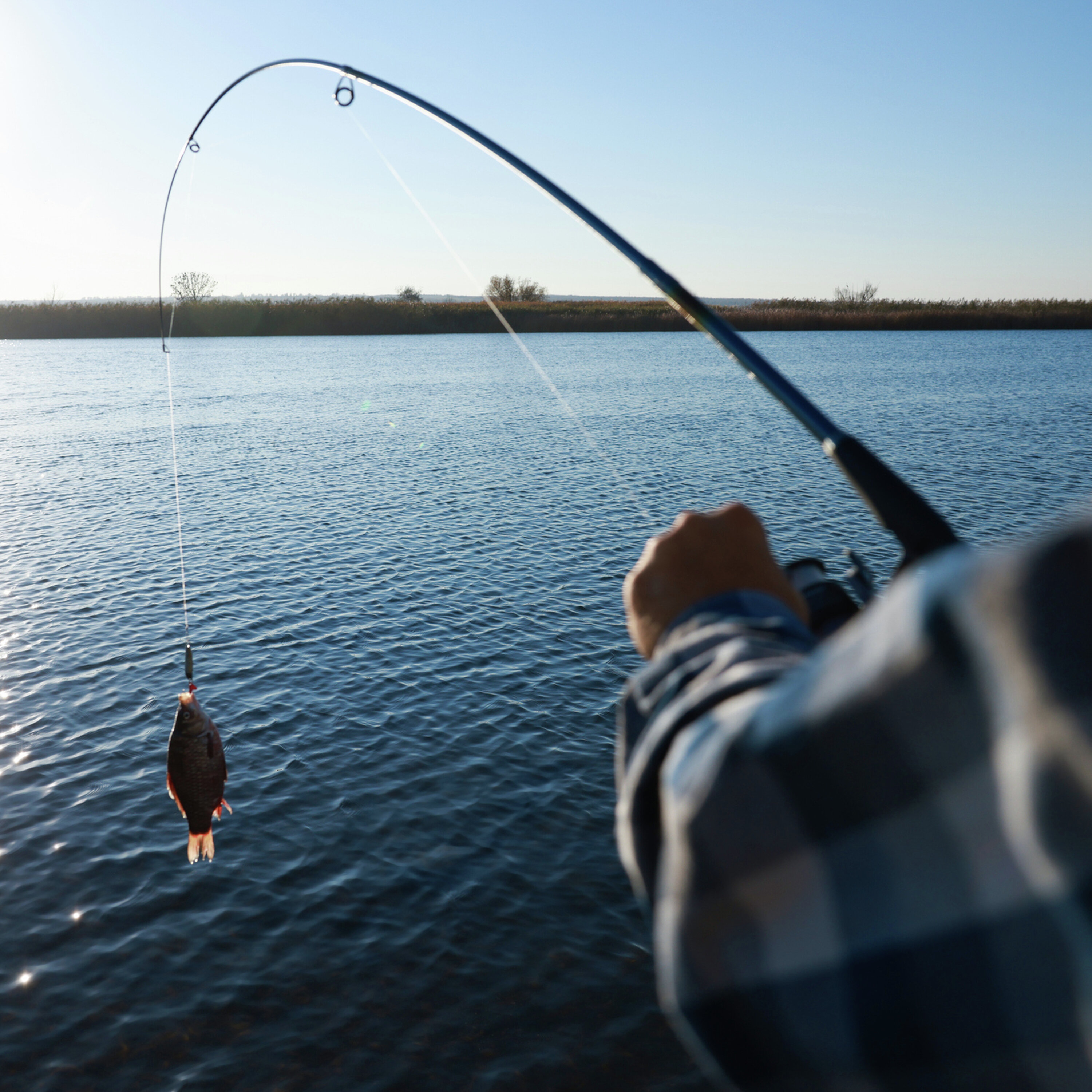 Recapping the 2024 Minnesota fishing opener with Steve Carney episode artwork