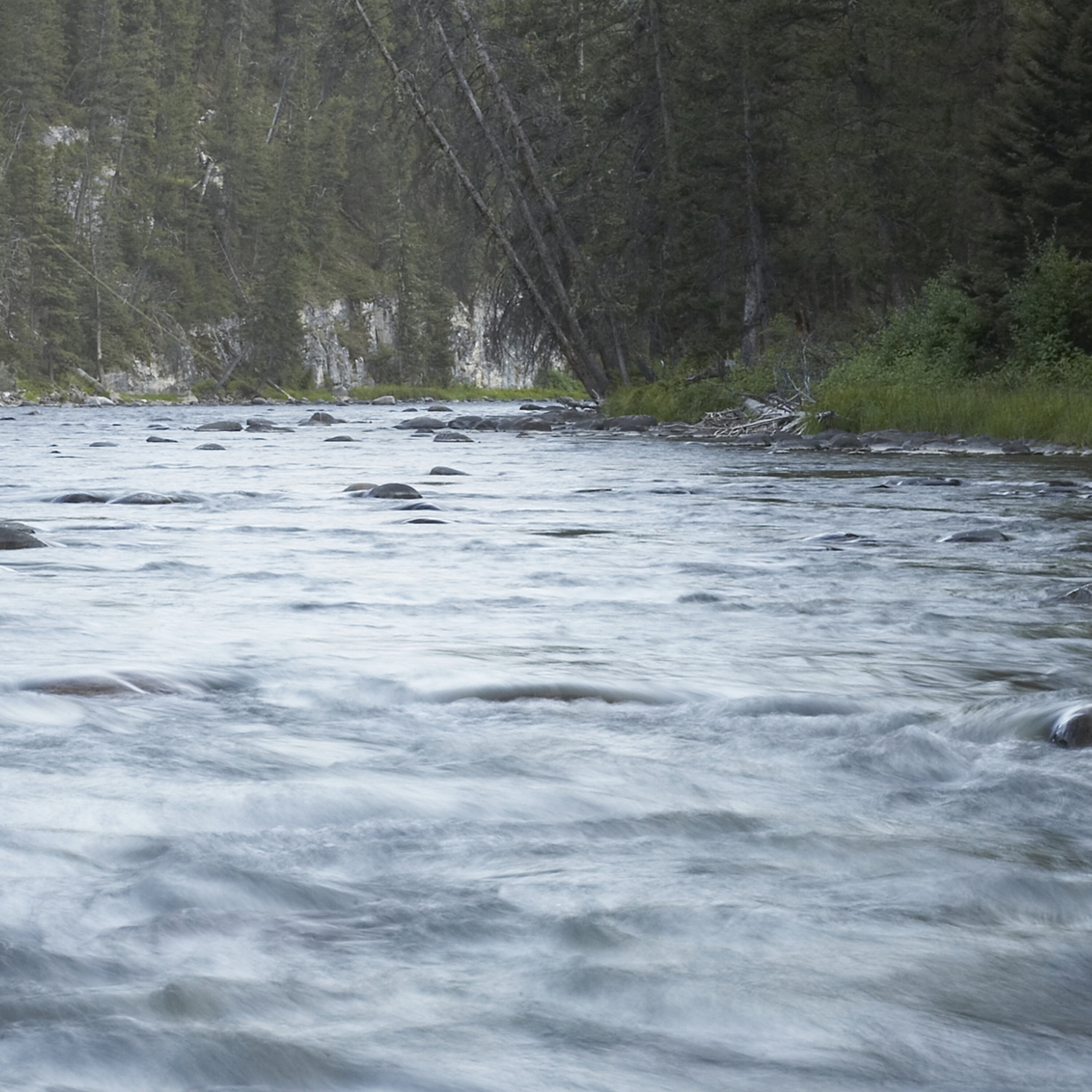 Steve Carney’s walleye hangover and where he is heading next? episode artwork
