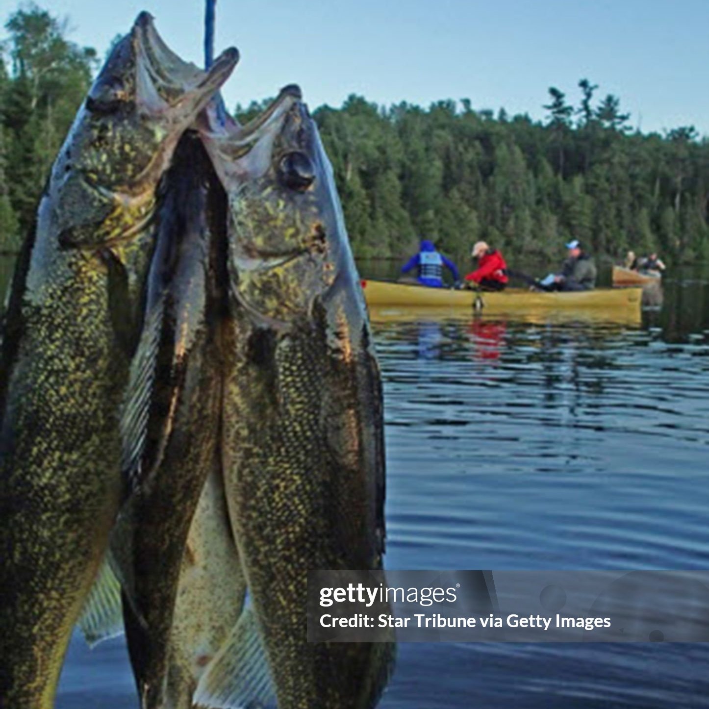 Late-Summer Fishing on the Mind episode artwork