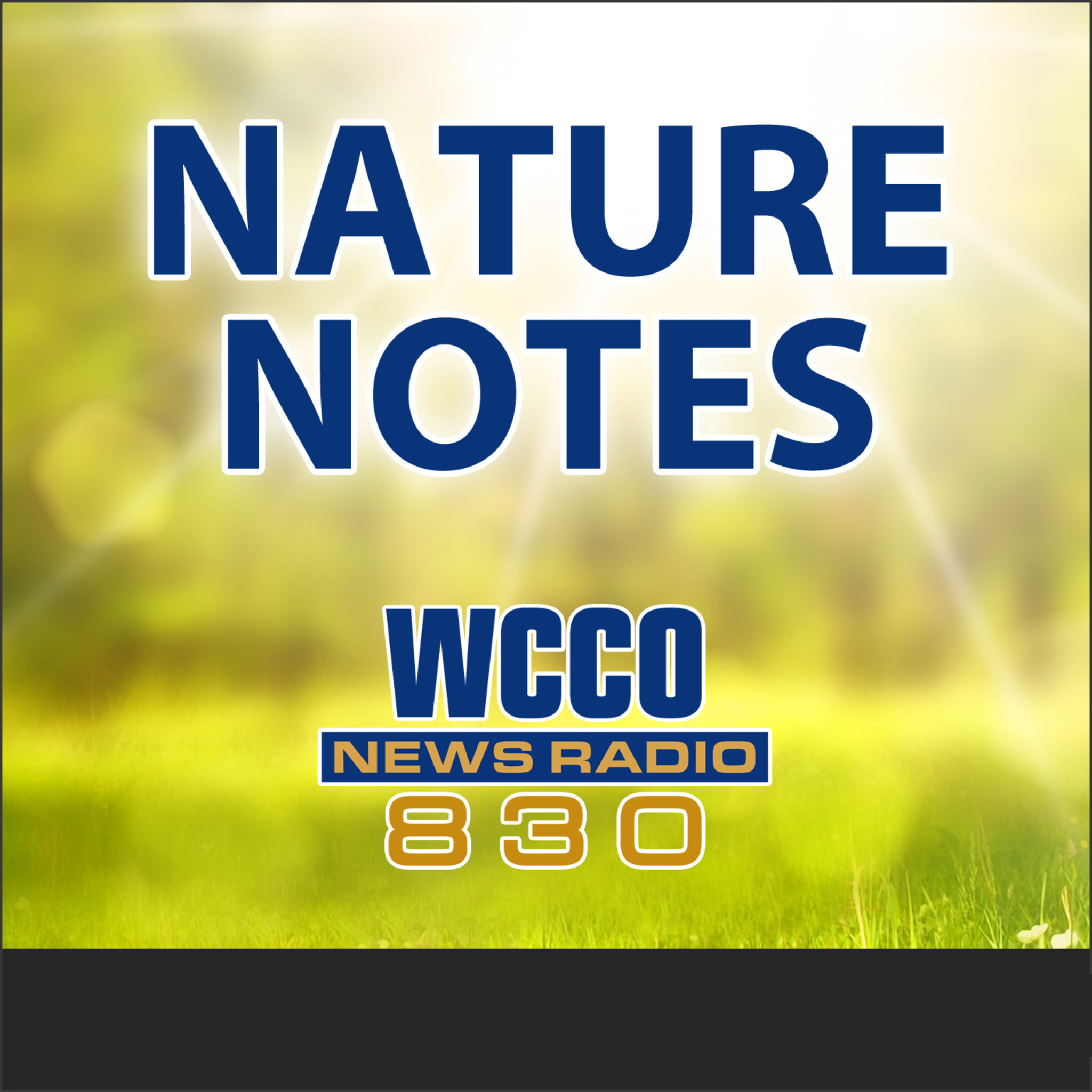 NATURE NOTES 4-28-19