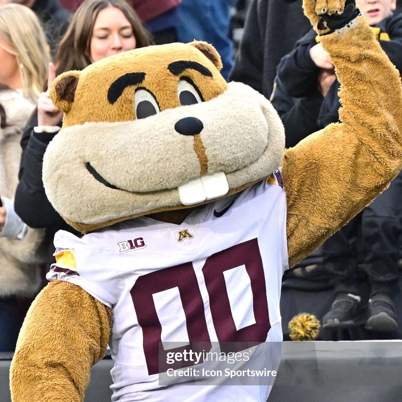 Gophers Row the Boat to Win the Rate Bowl episode artwork