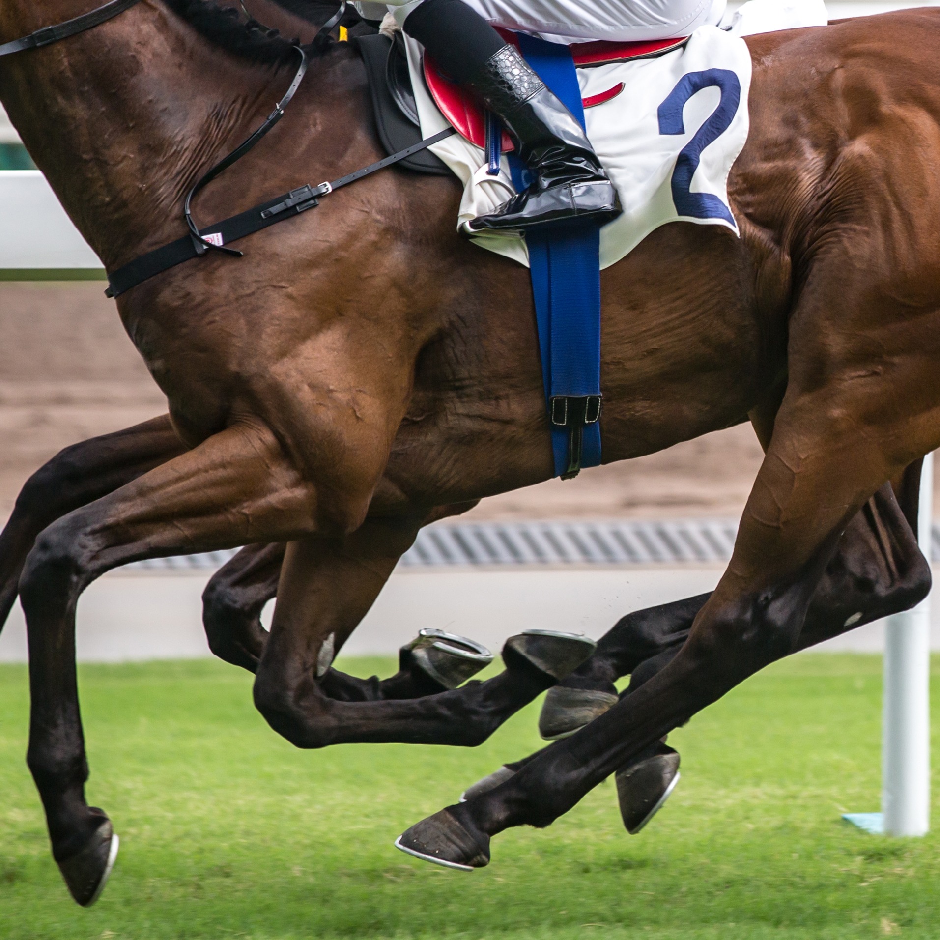 Should we be concerned about the future of horse racing in Minnesota? episode artwork