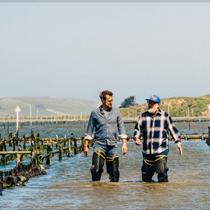 Andrew Zimmern says you need to eat more fish! Andrew Zimmern says you need to eat more fish!