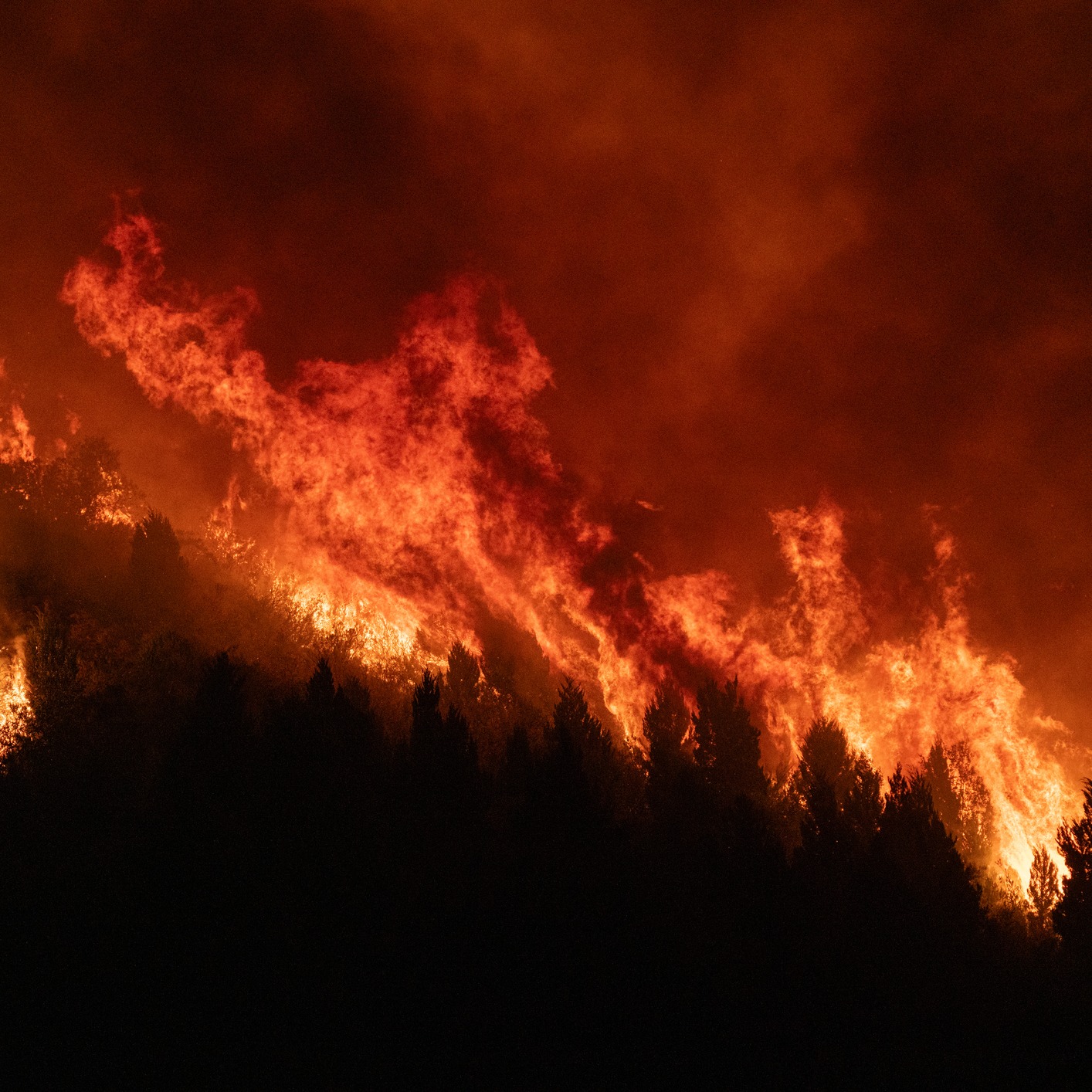 Wednesday Hour 2: World Cup, Jason went to Washington, Marvin Windows & Northern MN wildfires episode artwork