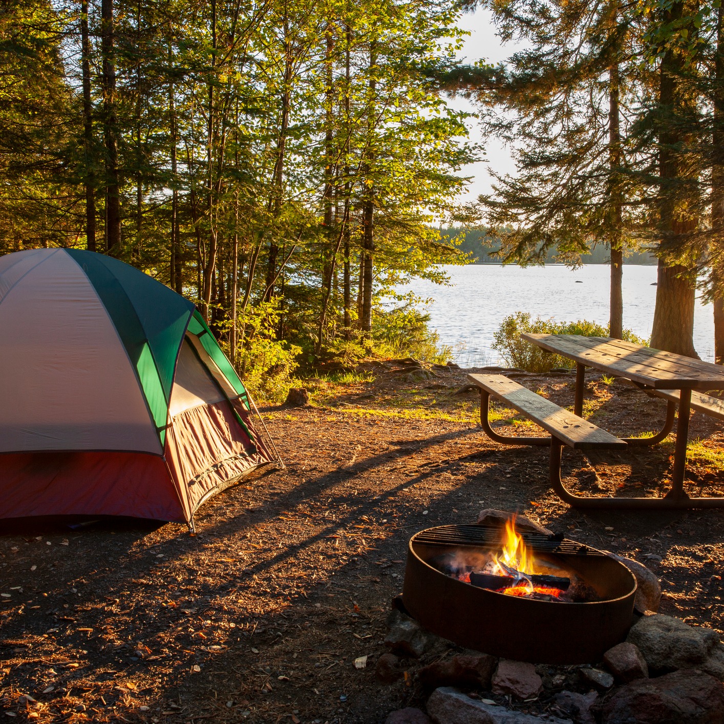 Wednesday Hour 2: Could MN become an outdoor business hub? And ENOUGH!!! episode artwork
