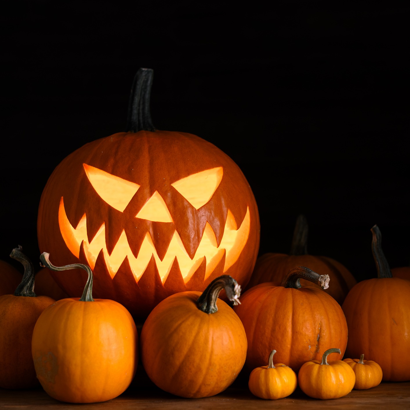 Carved Pumpkins, Cheap Concerts and more with Quick Takes !
