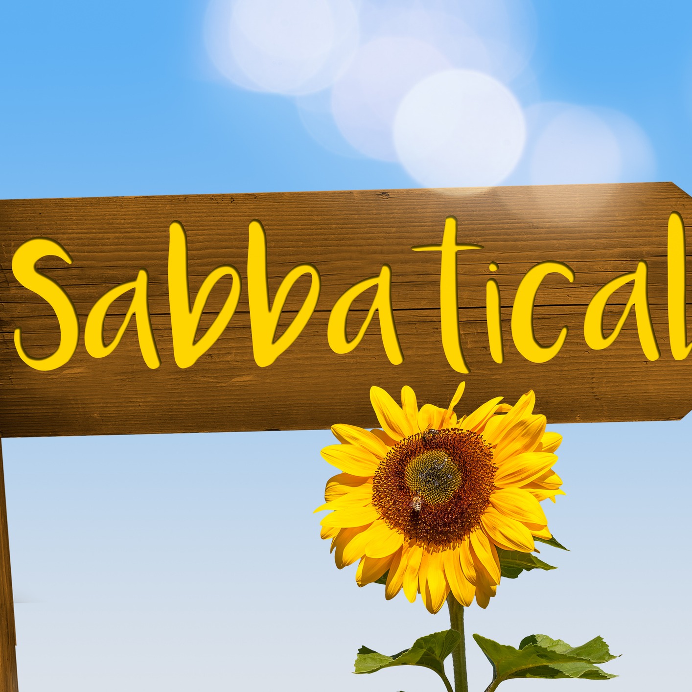 Torey Van Oot joins us before taking off for a summer sabbatical episode artwork