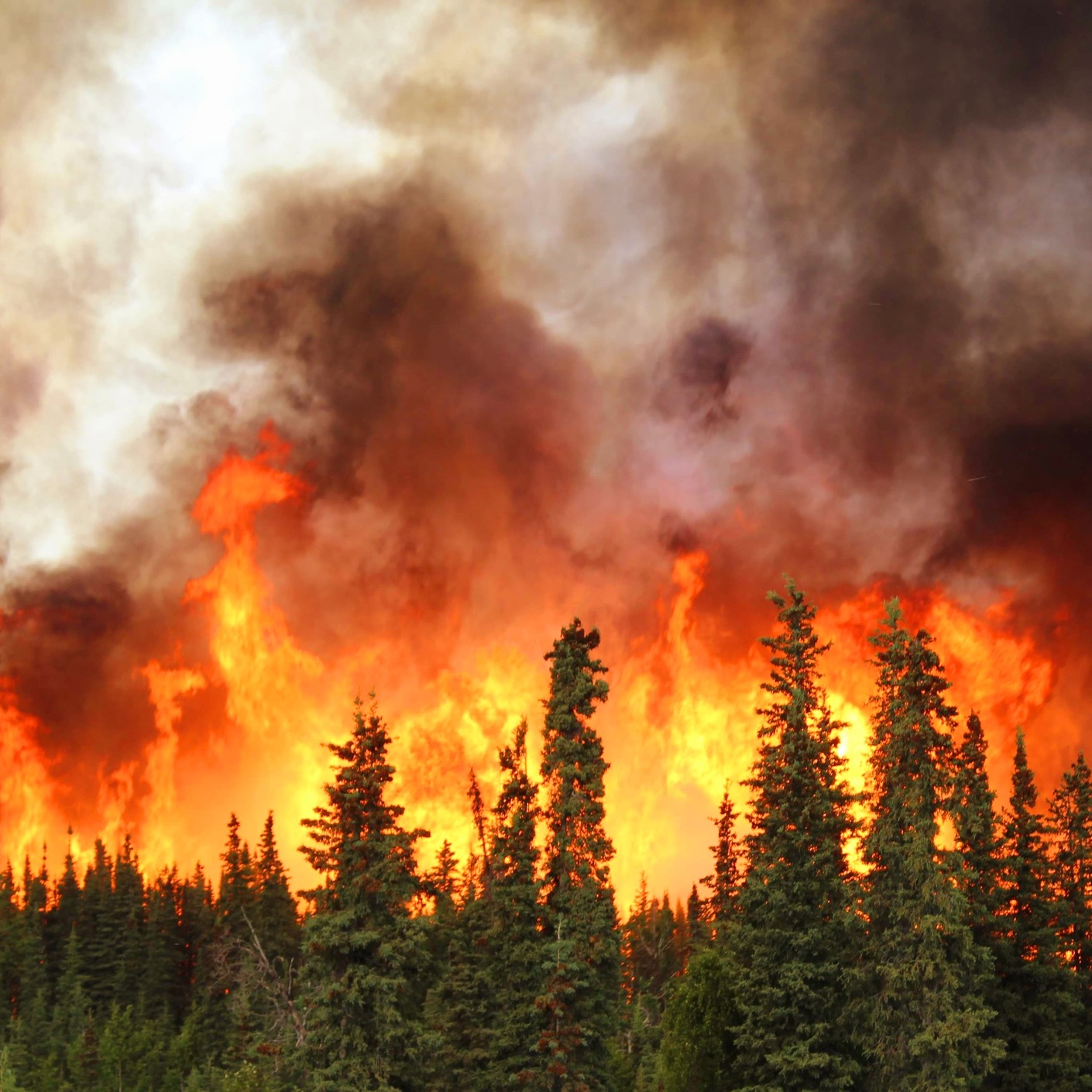 Local kayakers escape fires in the BWCA episode artwork