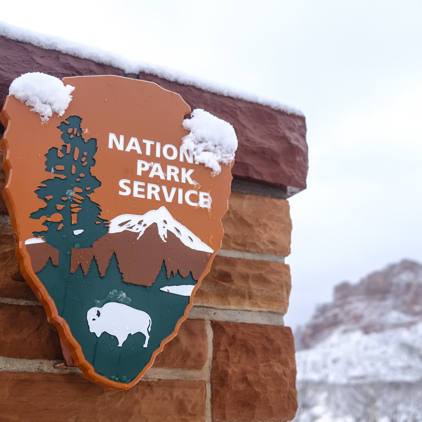 Jor is back and she shares her National Park stories! episode artwork