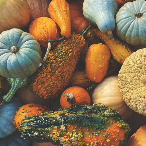 The gourds have got to go. Am I Wrong?