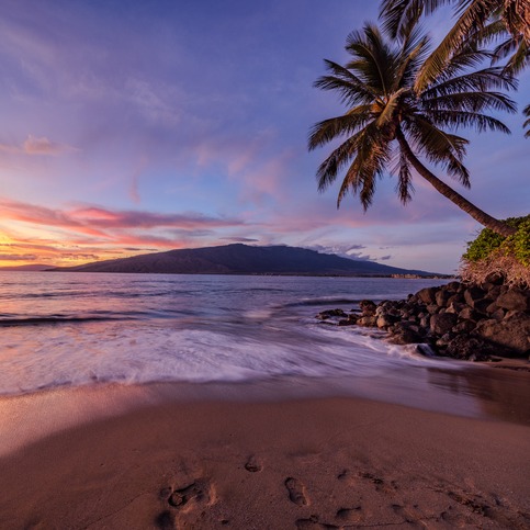 A fabulous Hawaii trip & Jamie Yuccas