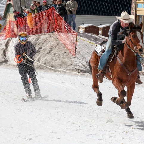 Susie Jones shares the wild experience of checking out horse skijoring at Canterbury Park episode artwork