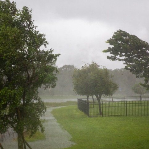 What should high winds blow clear out of the state? & seclusion rooms in Minnesota schools