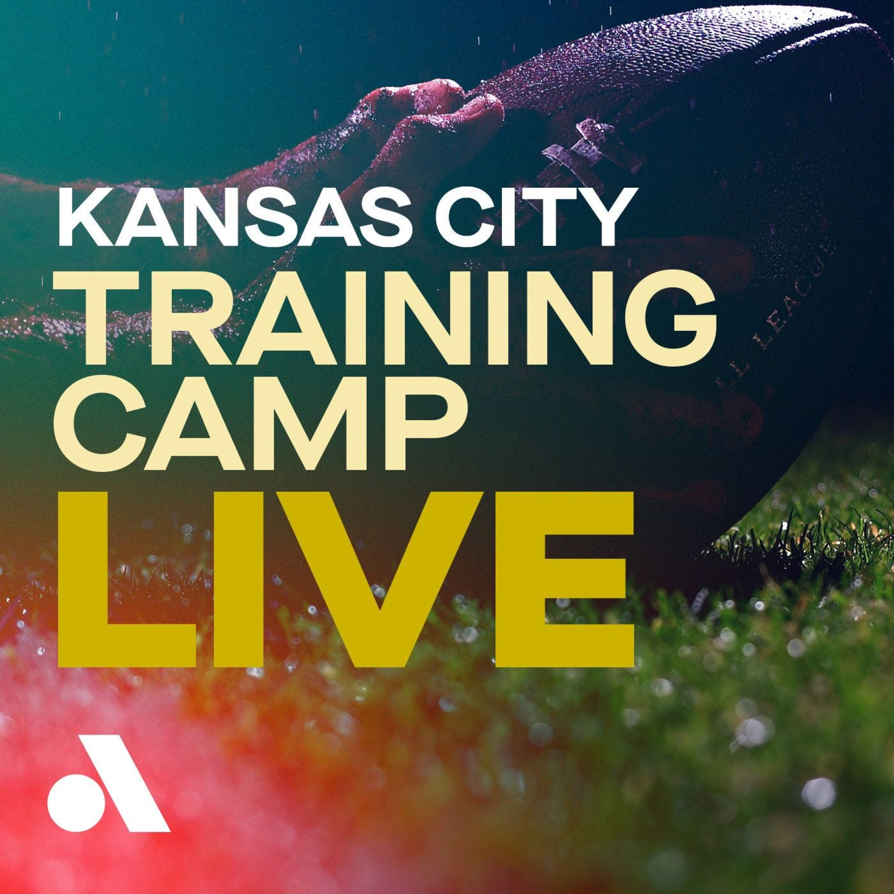 Pro Football Training Camp Live