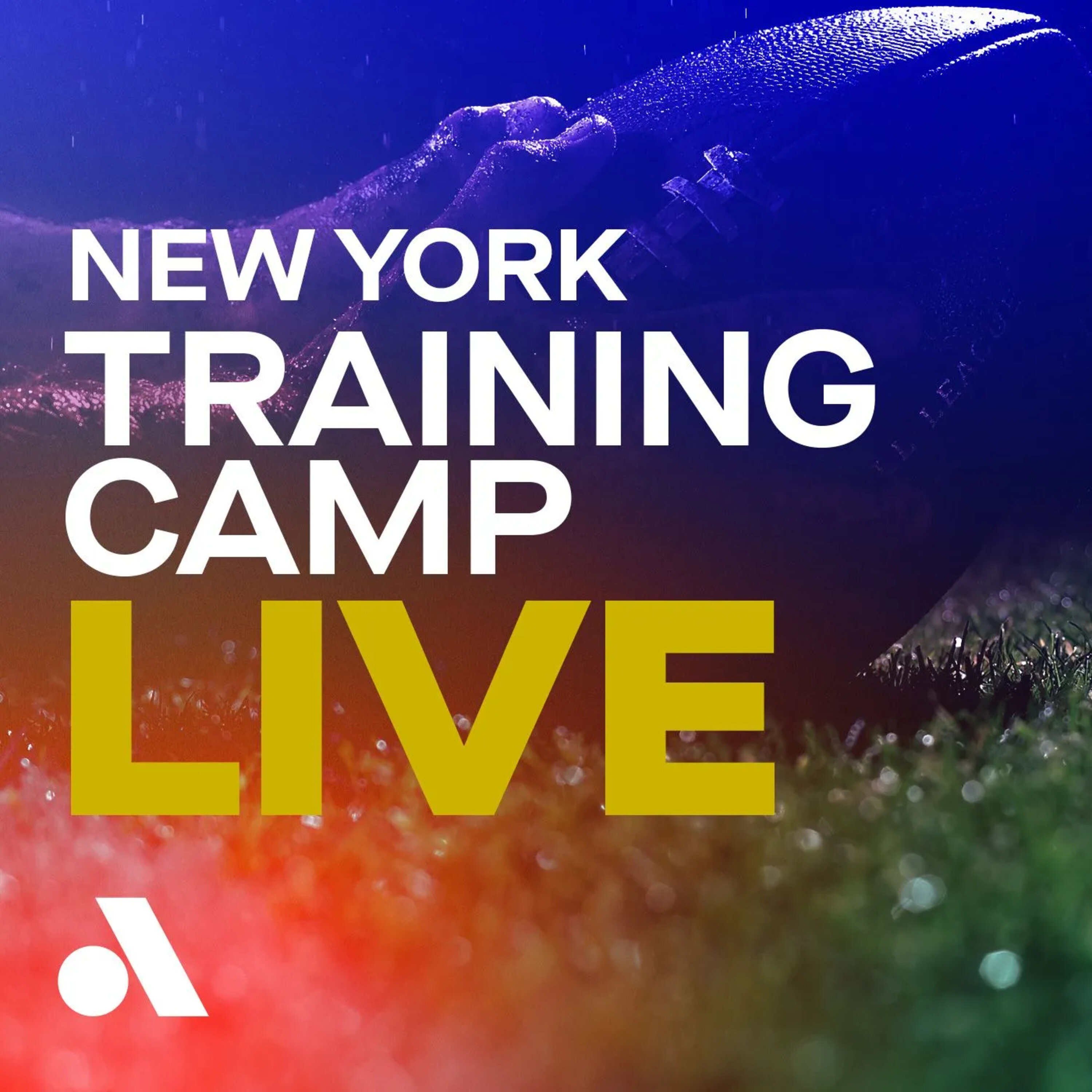 Pro Football Training Camp Live