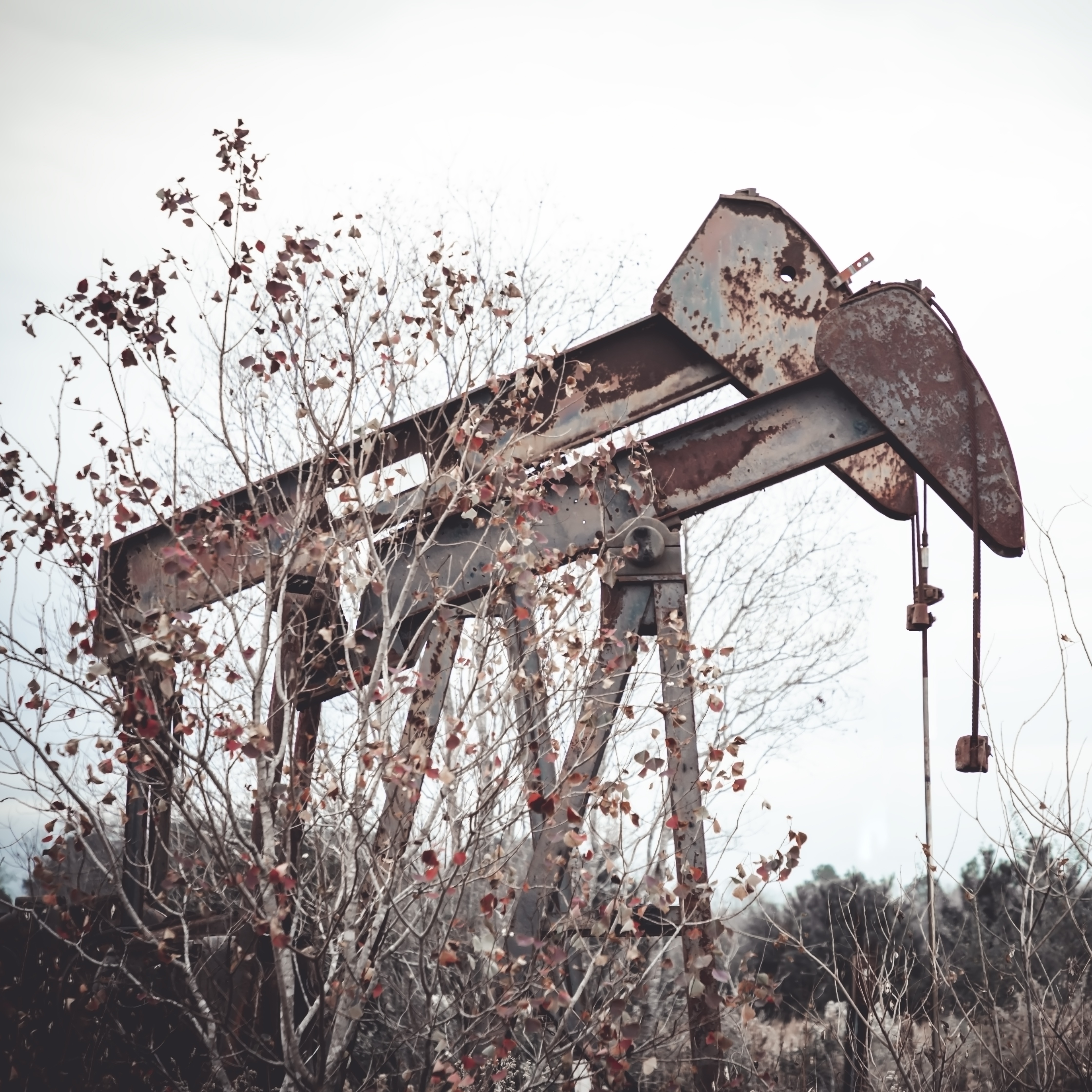 Louisiana's abandoned oil and gas wells have reached a record high episode artwork