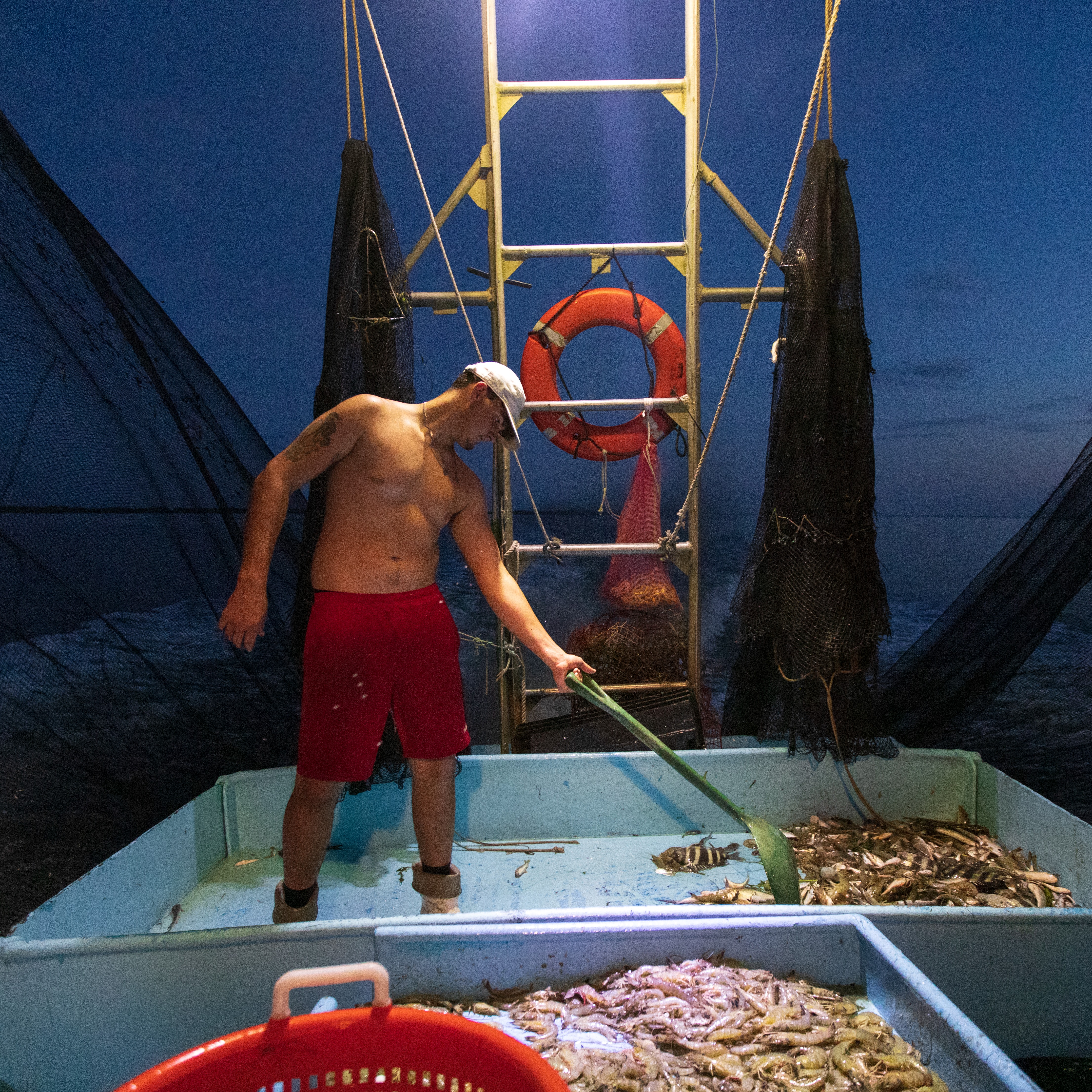 Louisiana’s shrimping industry continues fighting for survival against foreign imports and misleading seafood labeling episode artwork