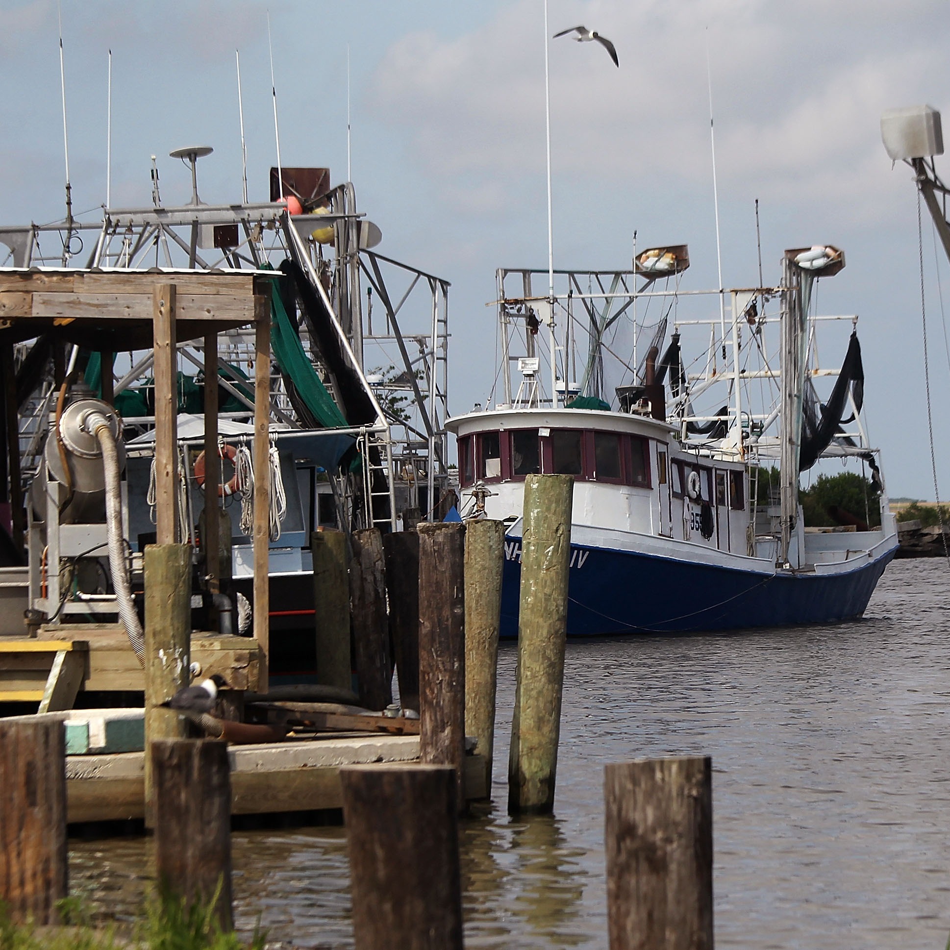 Hour 3: What can be done to protect Louisiana's seafood industry? episode artwork