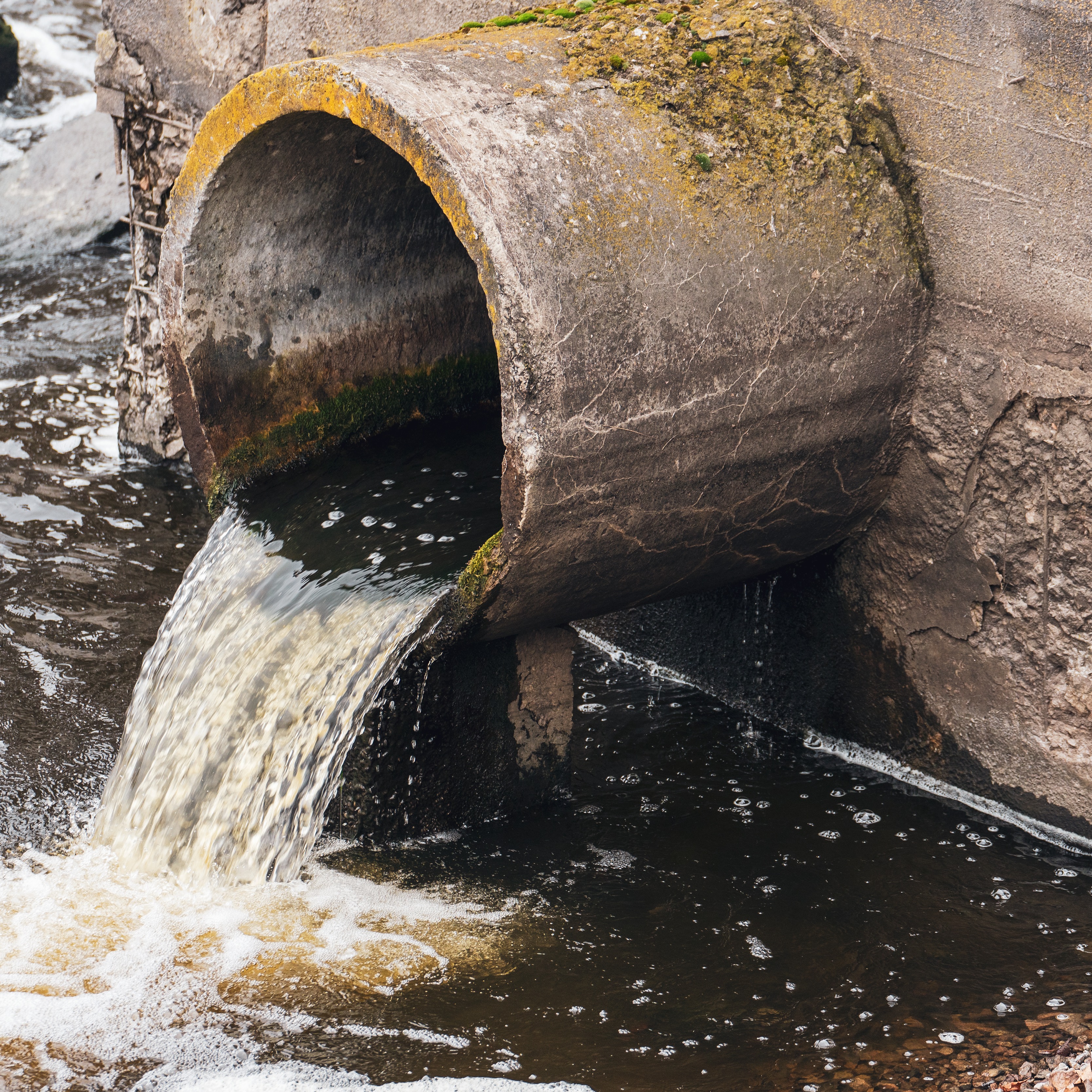 Hour 2: Mayor Helena Moreno 'PUMPS' Up the Sewerage & Water Board episode artwork
