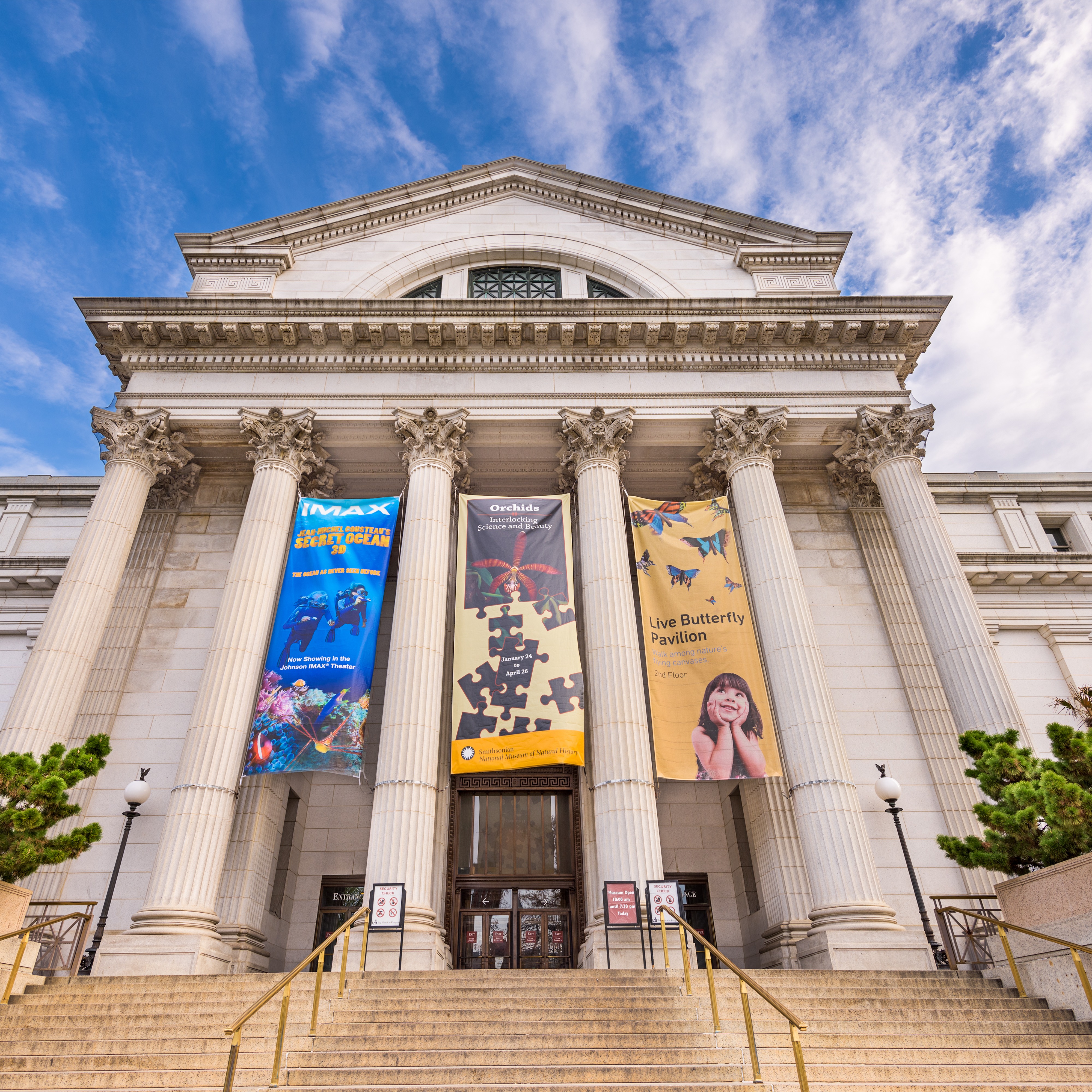 Has the Smithsonian abandoned historical scholarship for political activism? episode artwork