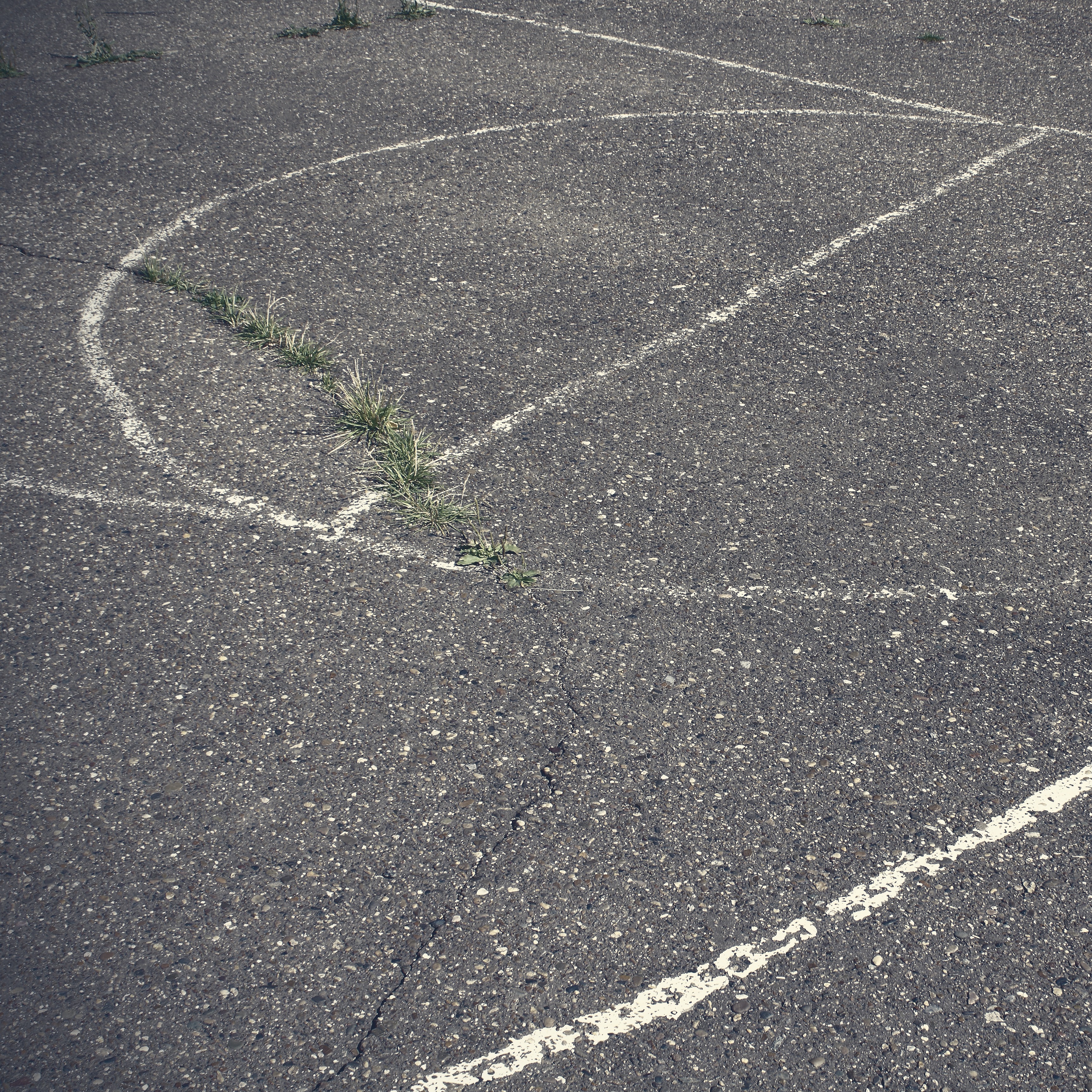 A new report from the New Orleans Inspector General reveals widespread oversight failures across the city's youth sports programs, putting thousands of young athletes and their families at risk episode artwork