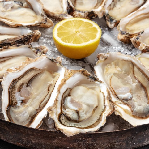 Table Talk: Oyster season may be over, but there are still tasty options available episode artwork