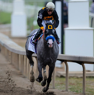 How this jockey got back in the saddle after an ankle injury to win the Preakness episode artwork