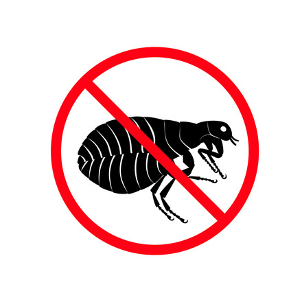 Fleas are out of control this year. Here's how to fight them episode artwork