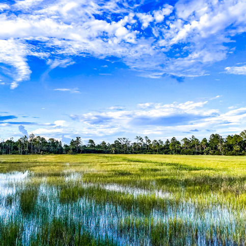 What you should know about this project to stengthen, restore our coast episode artwork