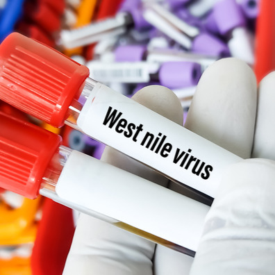 West Nile was found in New Orleans. Here's what you need to know episode artwork