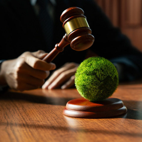 Louisiana has banned climate change lawsuits against energy companies. What does that mean? episode artwork