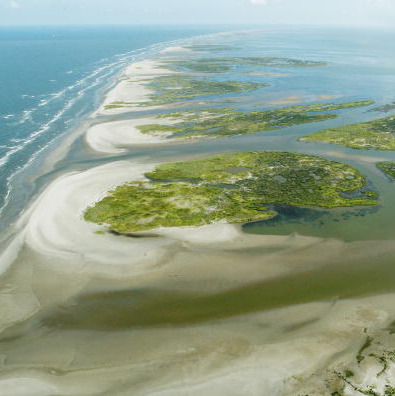 Louisiana is rebuilding the Chandeleur Islands. Here's why that's important episode artwork