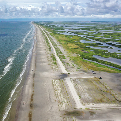 How coastal restoration projects benefit people AND animals episode artwork
